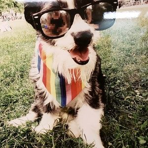 Meet your Posher, Yvette